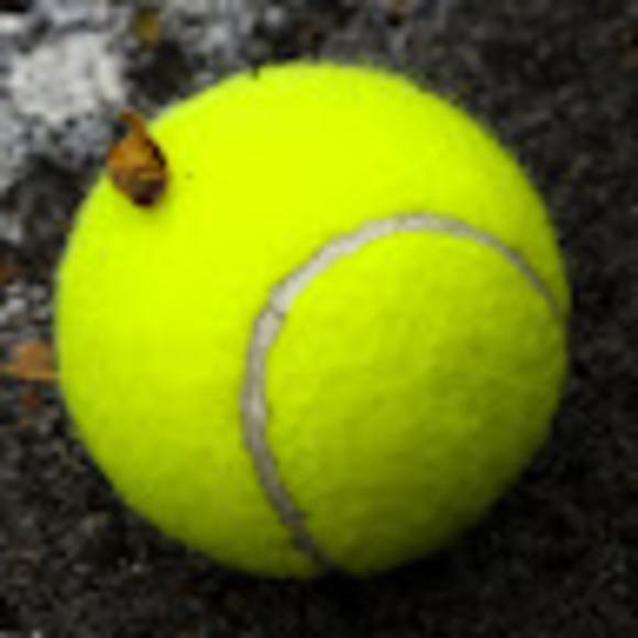 kozioltennis